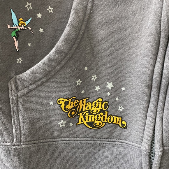 Disney Parks the Magic Kingdom Hoodie rare Walt Disney World original sz M grey - Picture 3 of 7